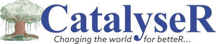 Catalyser